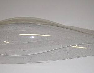 Verrière transparente